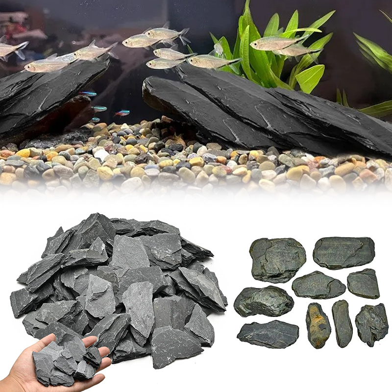 500/1000g Aquarium-Landschafts – Fish Aquarium Home Bewertung und Preis