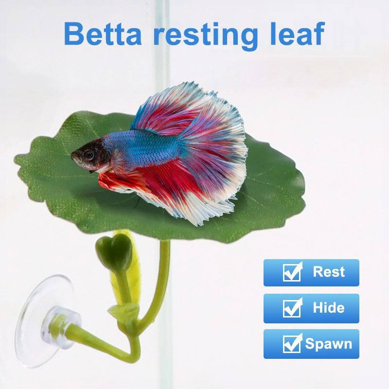 1 Stück Betta-Fisch-Blatt-Häng – Aquarium Fish Betta Bewertung und Preis