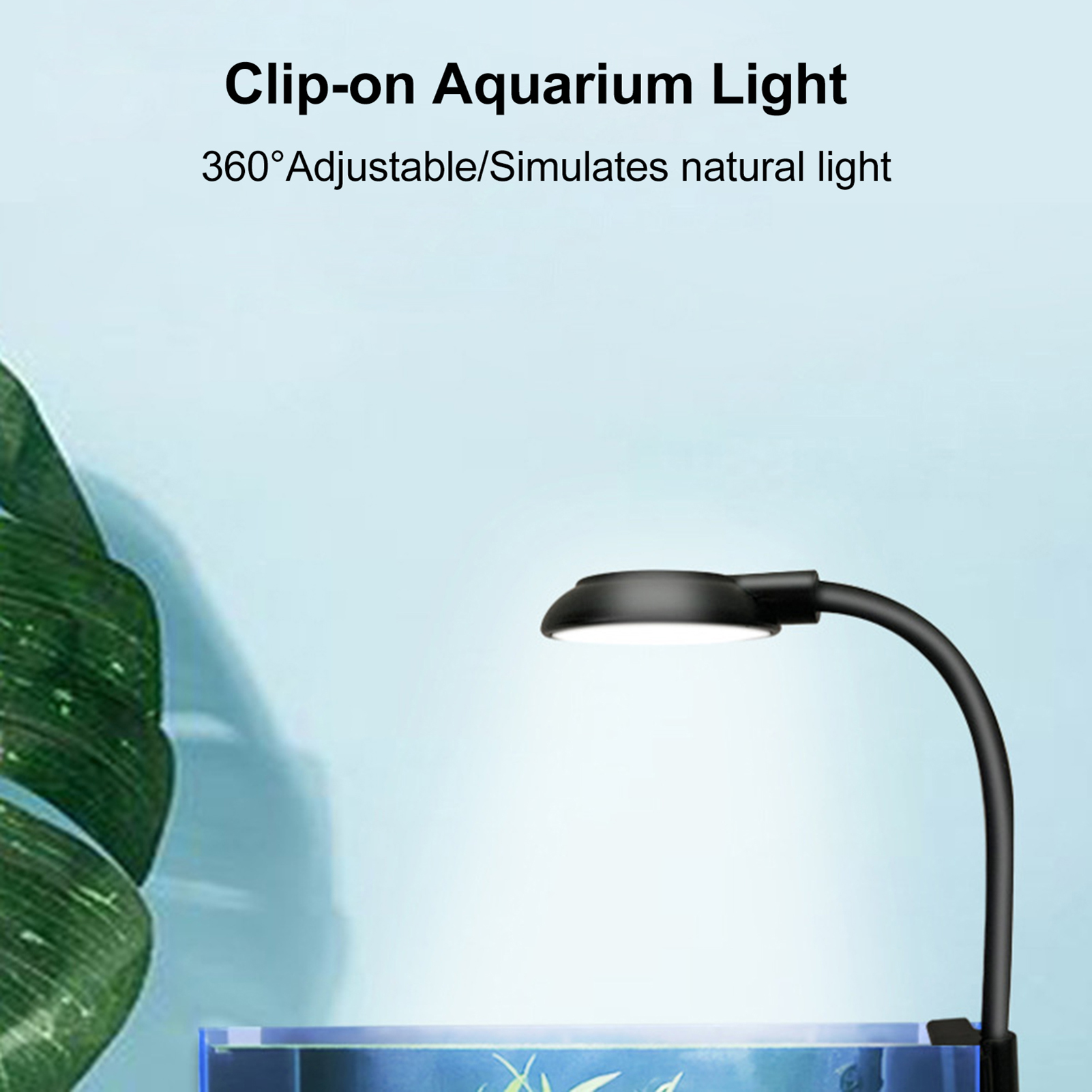 Fisch-Klemmlampe Aquarium-Pfla – Aquarium Plants Bewertung und Preis