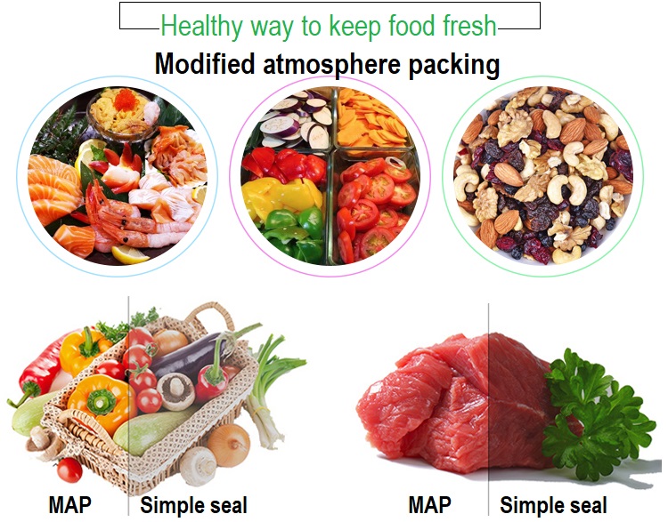 430 Lebensmittel-Vakuum-Versie – Fish Food Bewertung und Preis