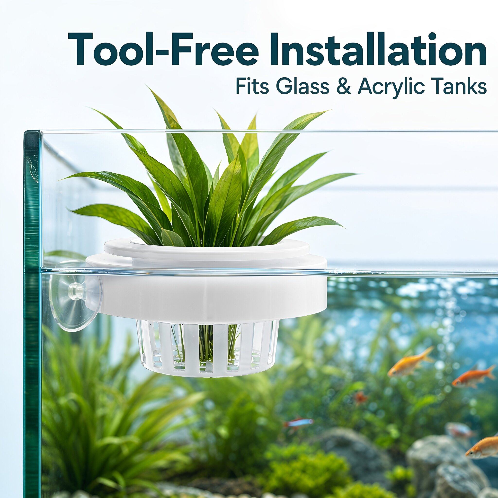4 Stück schwimmende Aquarium-P – Aquarium Plants Bewertung und Preis