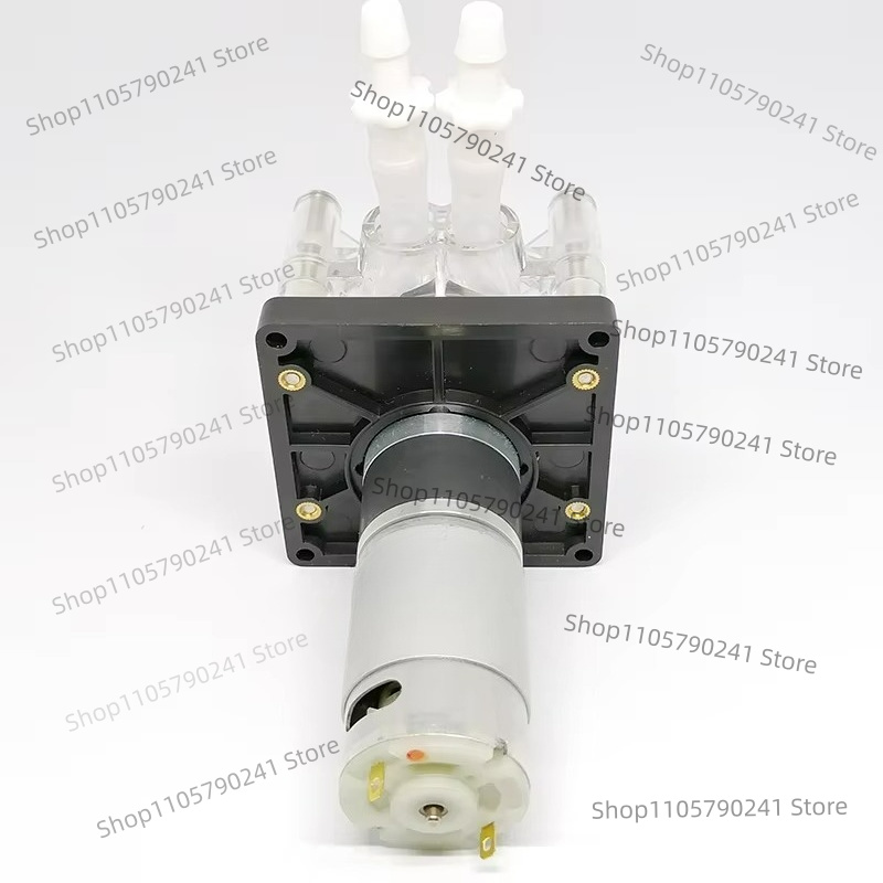 Peristaltische Pumpe DC 12V/24 – Aquarium Pump Bewertung und Preis