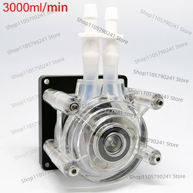 Peristaltische Pumpe DC 12V/24 – Aquarium Pump Bewertung und Preis