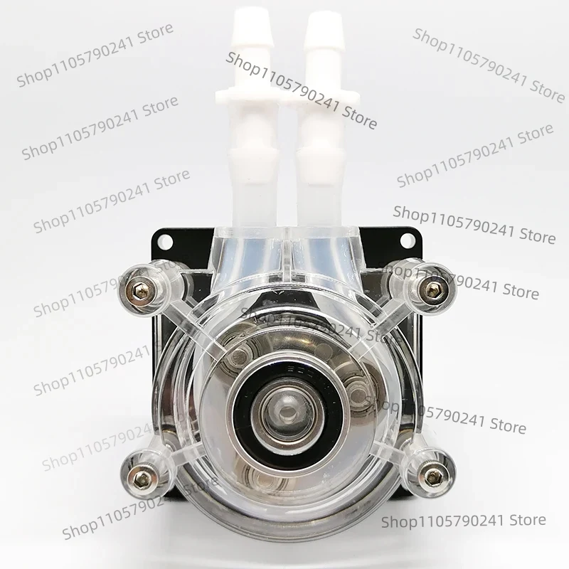 Peristaltische Pumpe DC 12V/24 – Aquarium Pump Bewertung und Preis