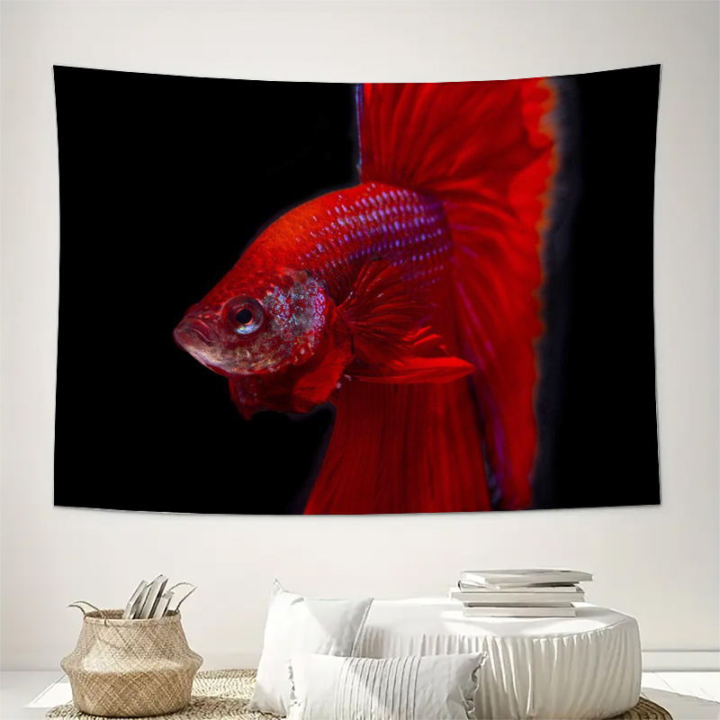 Lebendiger roter Betta-Fisch W – Fish Aquarium Home Bewertung und Preis