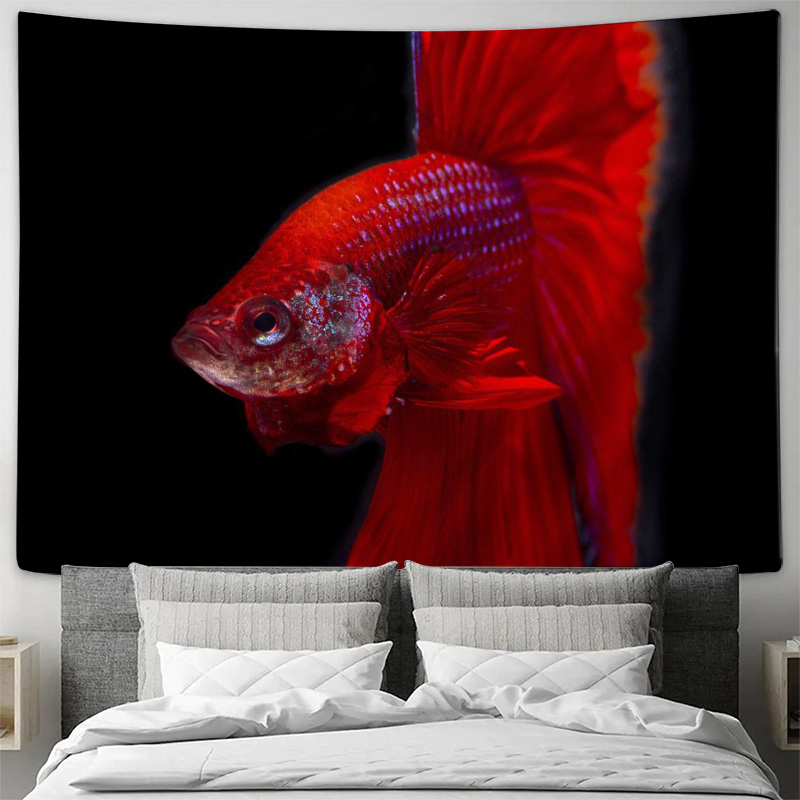 Lebendiger roter Betta-Fisch W – Fish Aquarium Home Bewertung und Preis