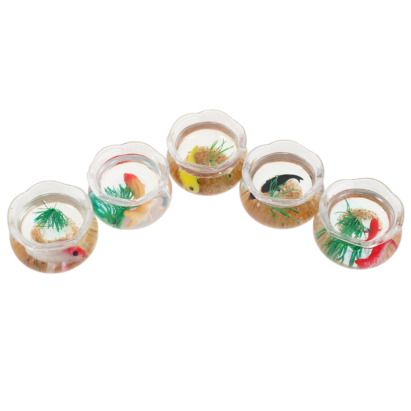 5-teiliges Mini-Koi-Aquarium-S – Aquarium Plants Bewertung und Preis