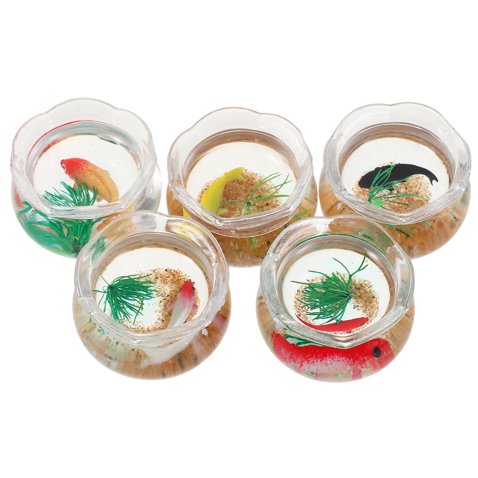 5-teiliges Mini-Koi-Aquarium-S – Aquarium Plants Bewertung und Preis
